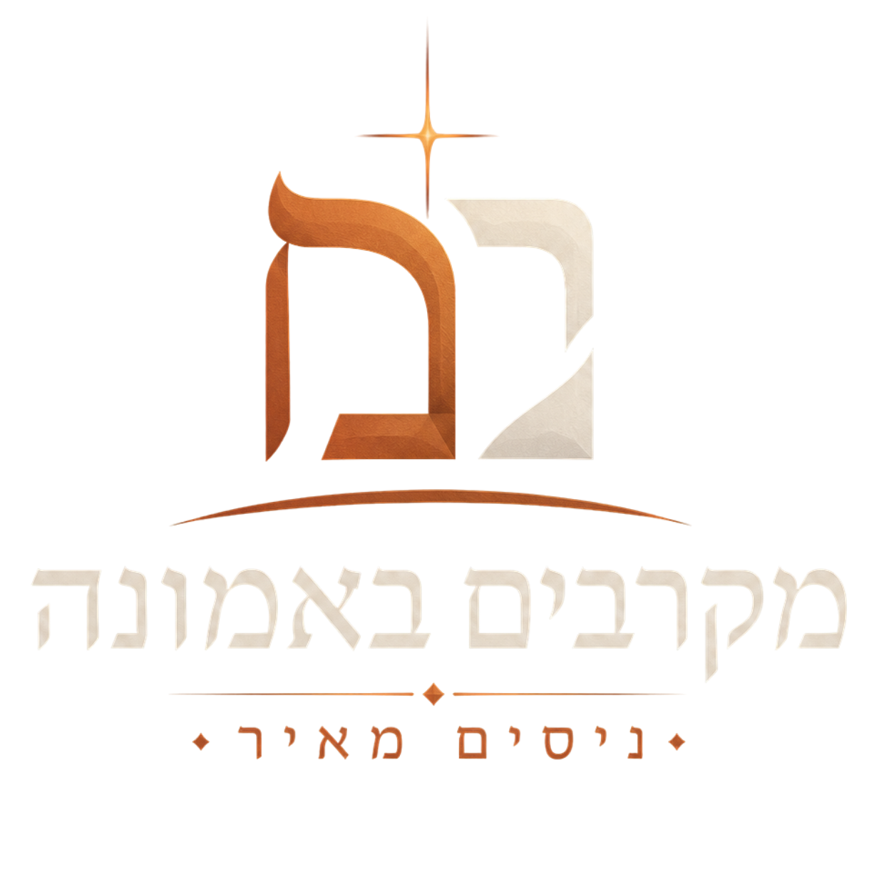 לוגו עמותת מאיר ניסים